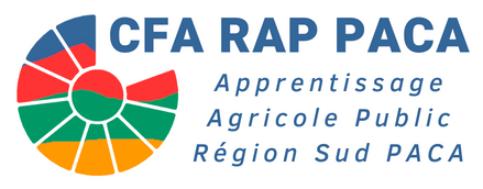 CFA RAP PACA
