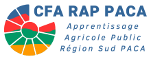 CFA RAP PACA