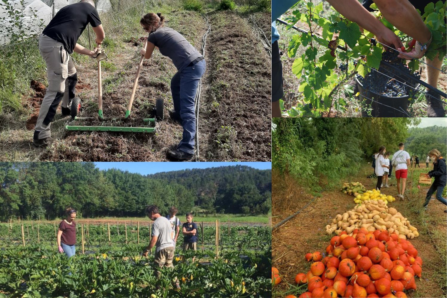 Nos lycées agricoles ont le vent en poupe !