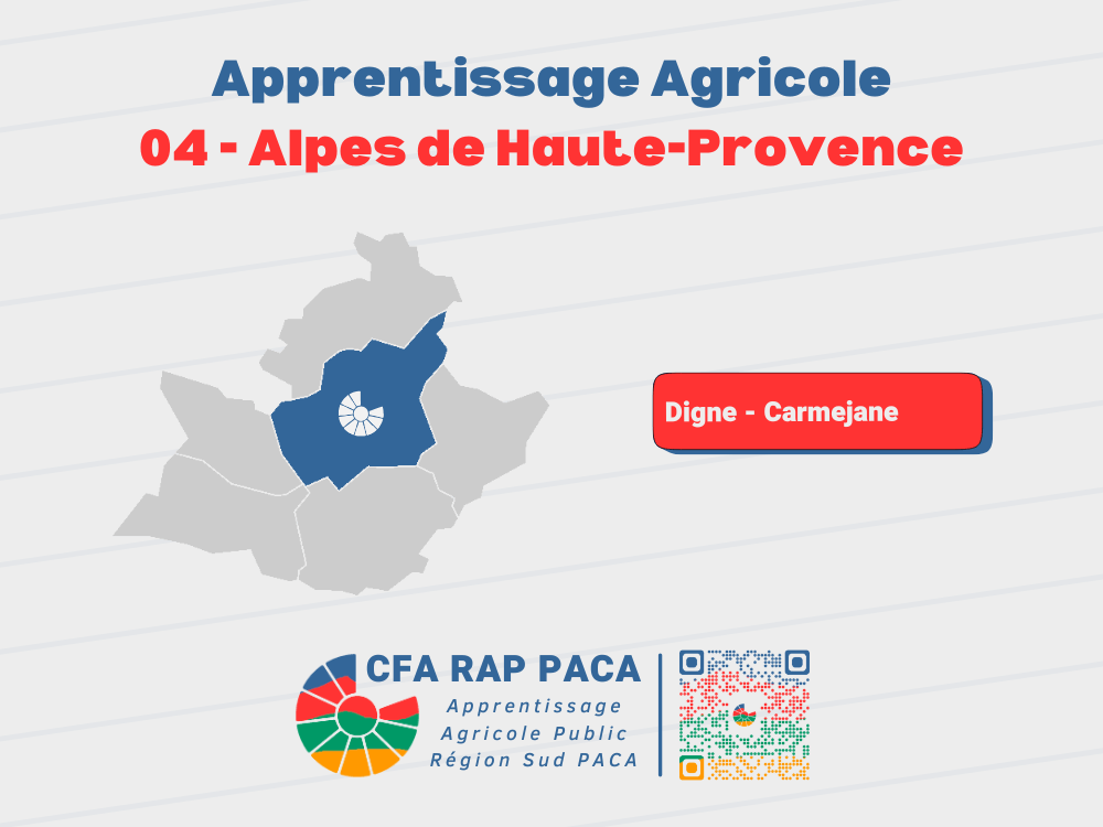 04 | Apprentissage agricole dans les Alpes-de-Haute-Provence