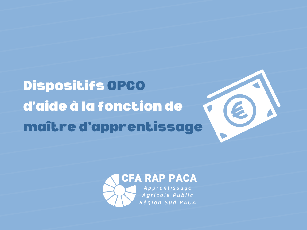 Les Dispositifs des OPCO d’aide à la fonction de maître d’apprentissage