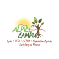 St-Rémy-de-Provence