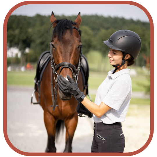 Formation Activités Equestres