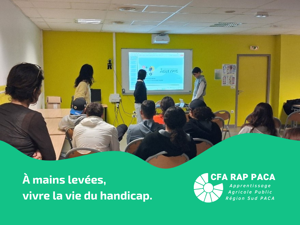 À mains levées, vivre la vie du handicap