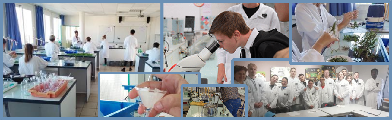 Formations en biotechnologie