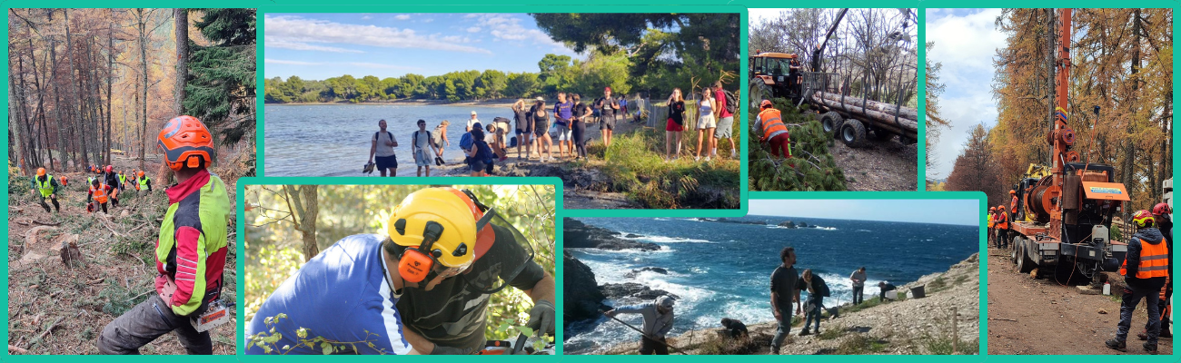 Formations apprentissage environnement et forêt