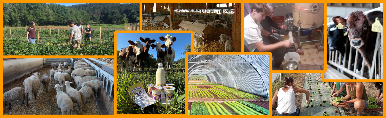 Production agricole et formation