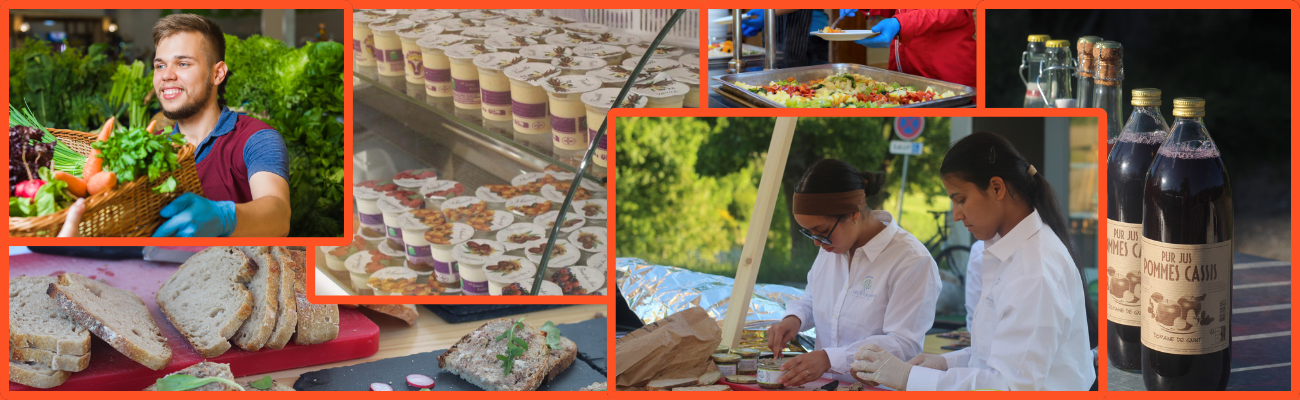 Formations Service – Vente – Commerce