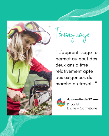 Formation BTS Gestion forestière à Digne