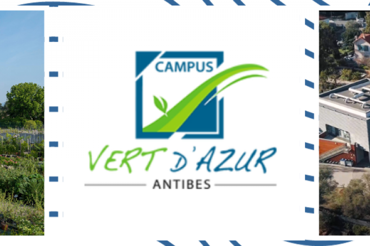 Campus d'Antibes