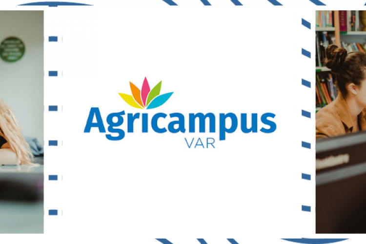 Formations aux Arcs - Var