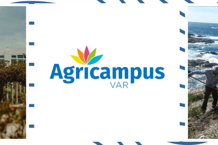 Campus Hyères Var