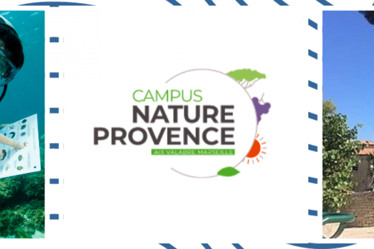 Campus de Marseille
