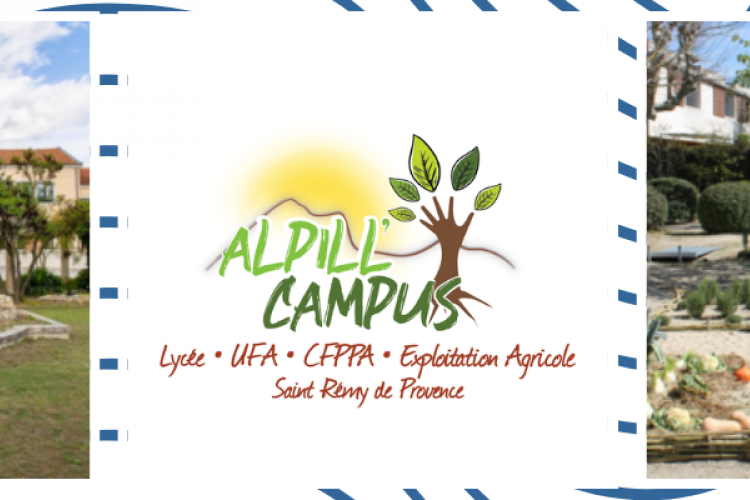 Campus St Rémy de Provence