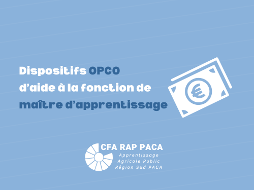 Les Dispositifs des OPCO d’aide à la fonction de maître d’apprentissage 