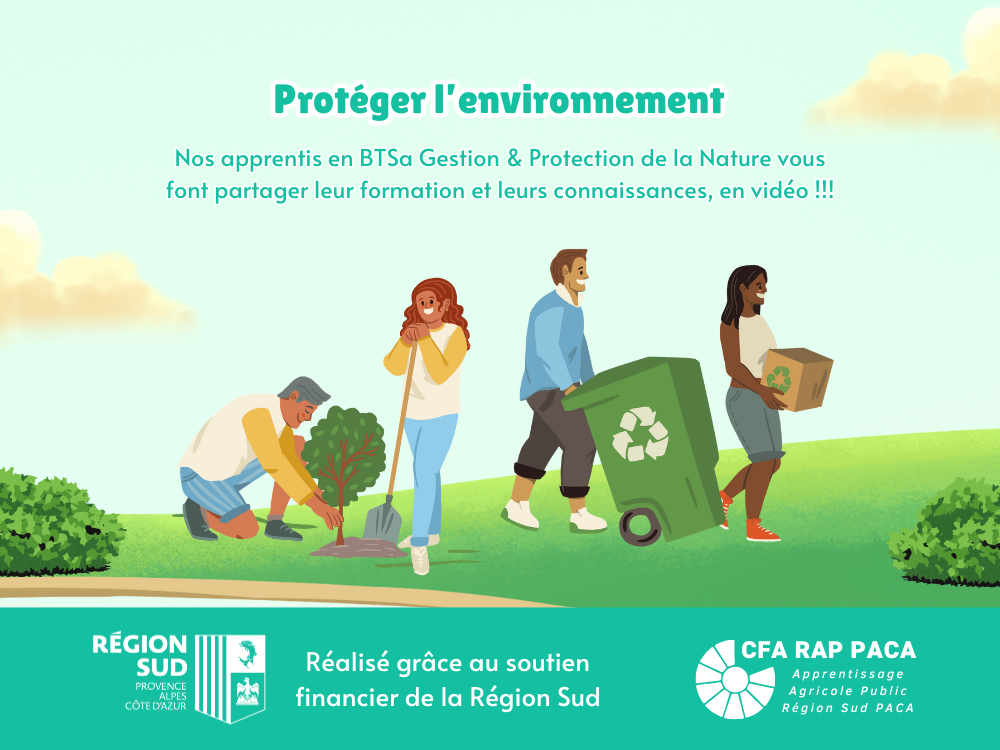 Nos apprentis engagés dans la protection de l'environnement
