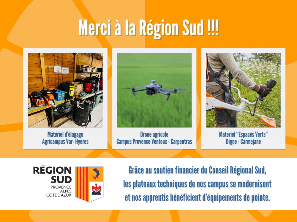 Merci au Conseil régional Sud pour son soutien